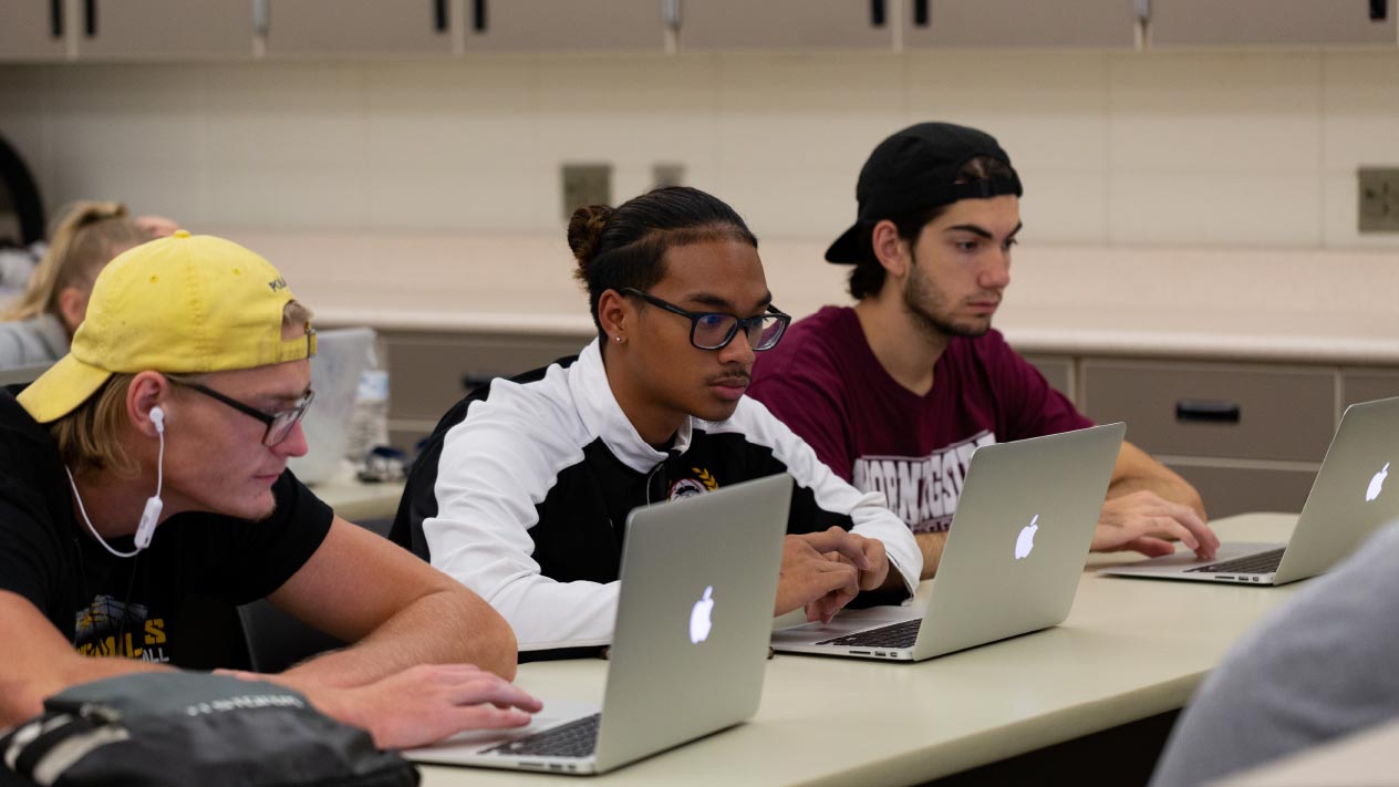Students on laptops