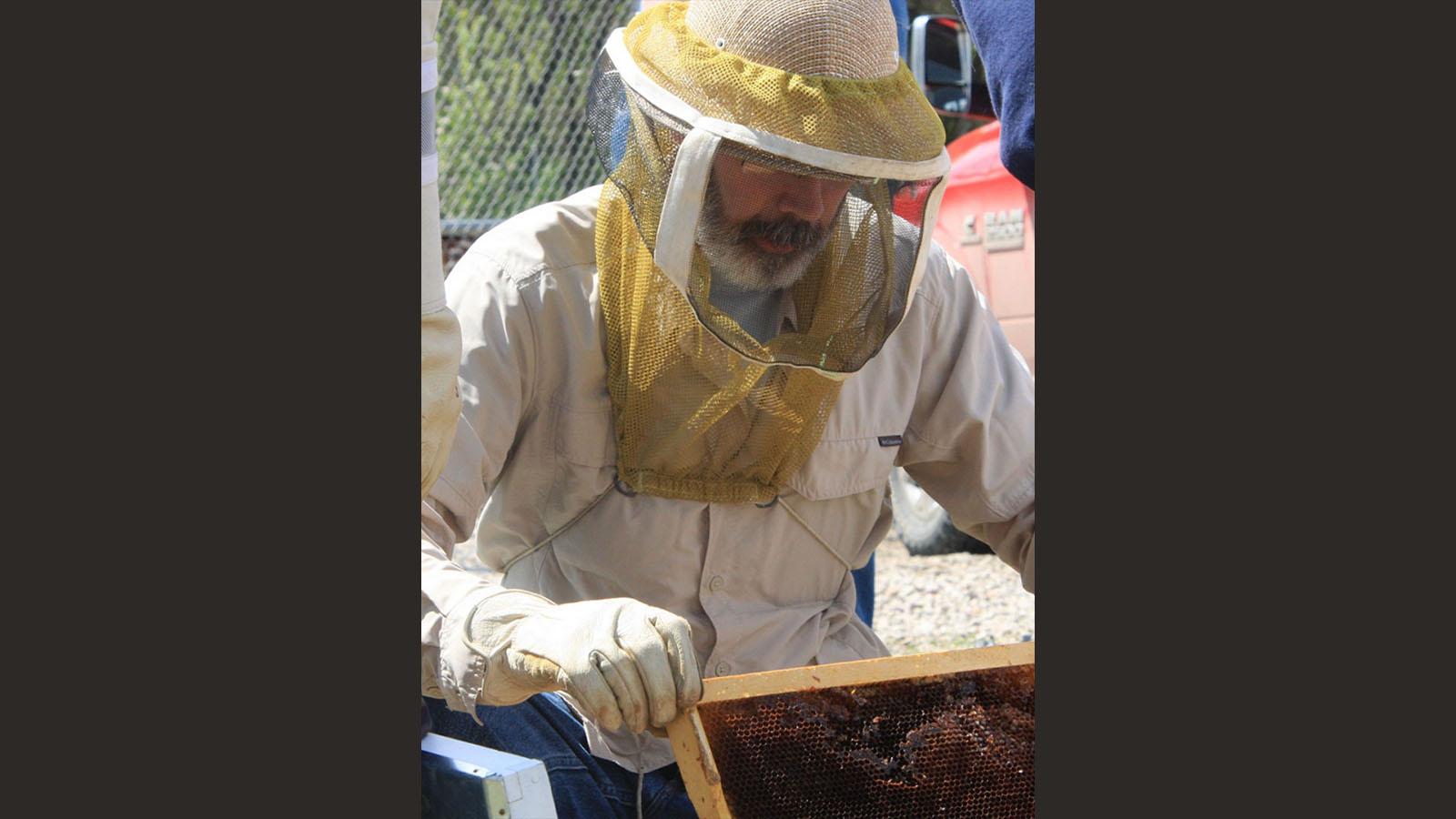 John Anderson handling bees